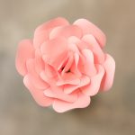Rose-Quartz ROSE