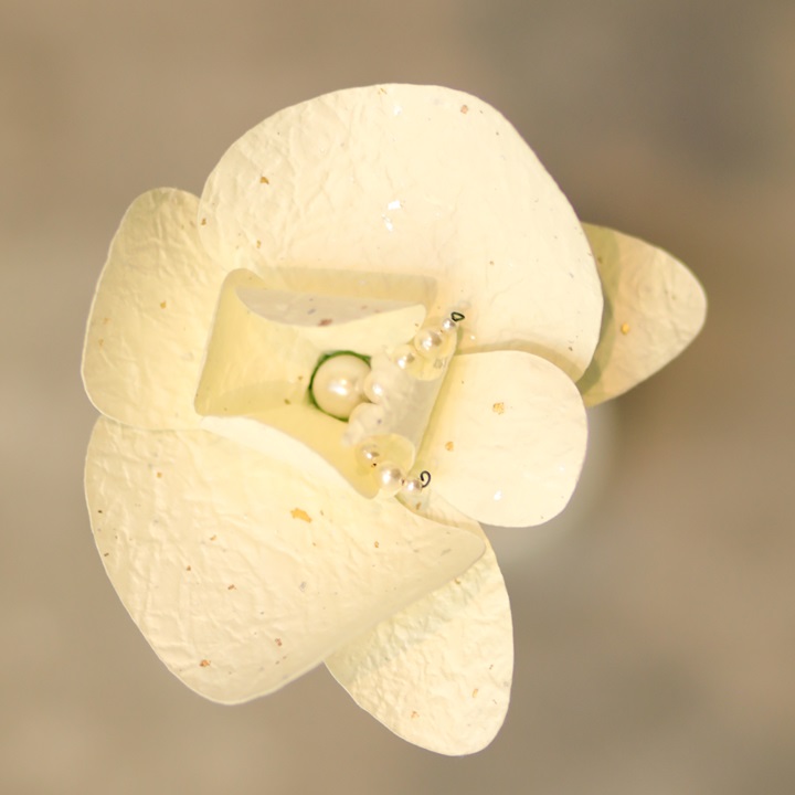 Washi Cream Orchid