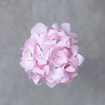 Washi Pastel Pink Hydrangea