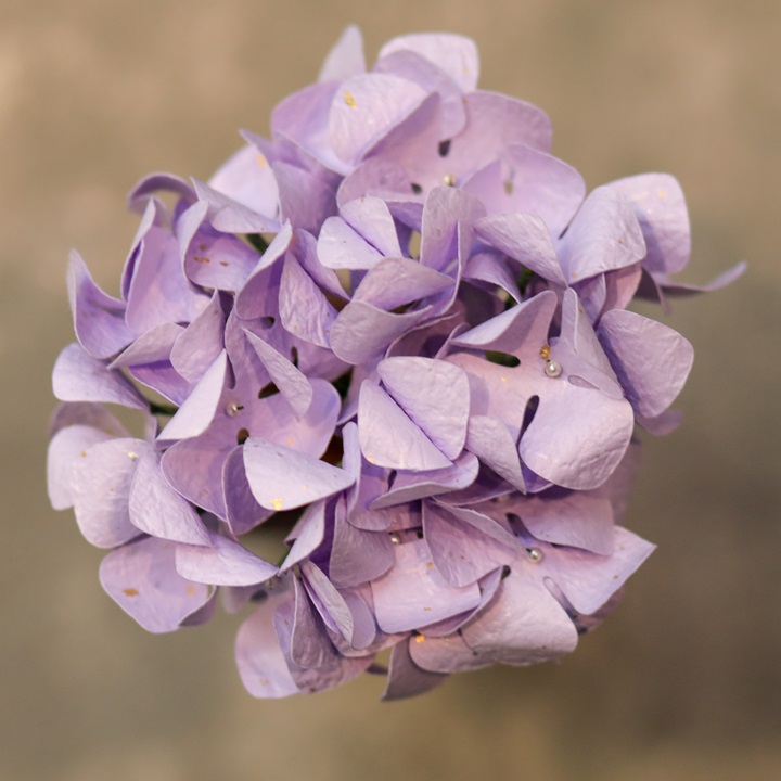 Washi Pastel Purple Hydrangea