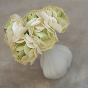 CN PEARLIZED CHAMPAGNE AND PEARLIZED HONEYDEW ranculus