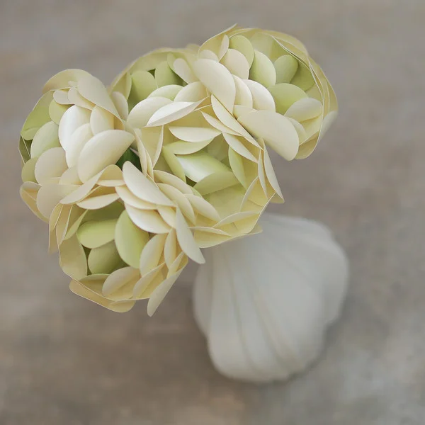 CN PEARLIZED CHAMPAGNE AND PEARLIZED HONEYDEW ranculus